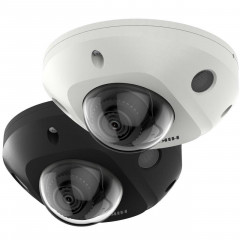 DS-2CD2543G2-IS(2.8mm)