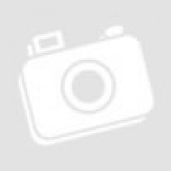 Dahua <NT02P500ECO-016G-R>